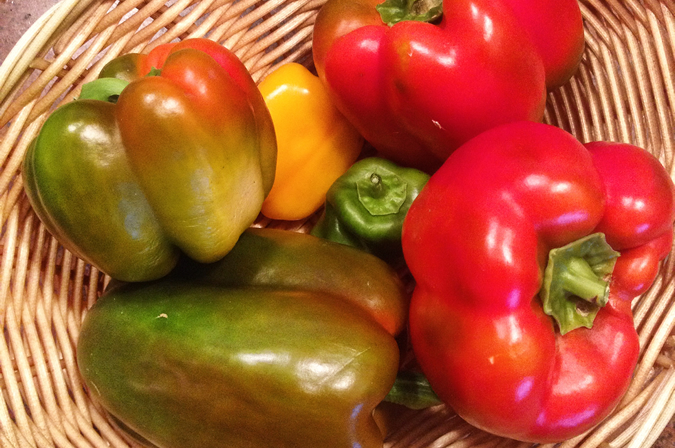 Garden Bell Peppers