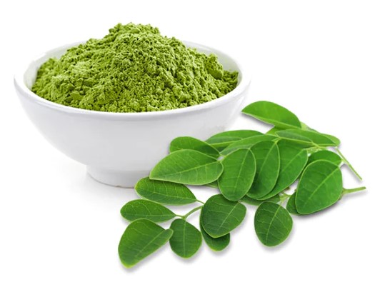 Moringa Oleifera